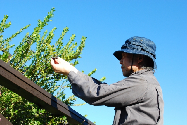 初めての緊急支援！